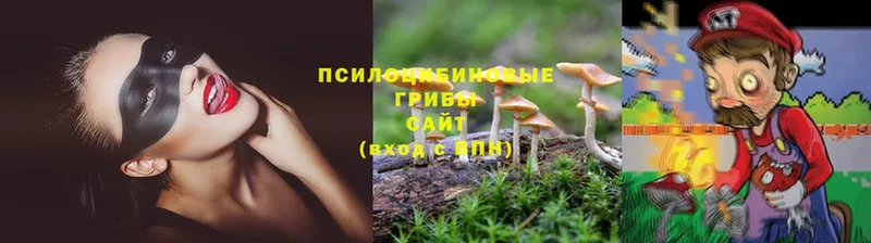 Галлюциногенные грибы Psilocybine cubensis Ворсма